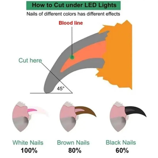 Tagliaunghie per Cani e Gatti con LED – Forbici Professionali in Acciaio Inox, Trimmer Sicuro e Facile da Usare - N.1 Online