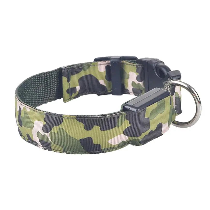 Collare Luminoso per Cani Camouflage – Regolabile con 3 Modalità LED, in Nylon Resistente, Sicuro per Passeggiate Notturne - N.1 Online