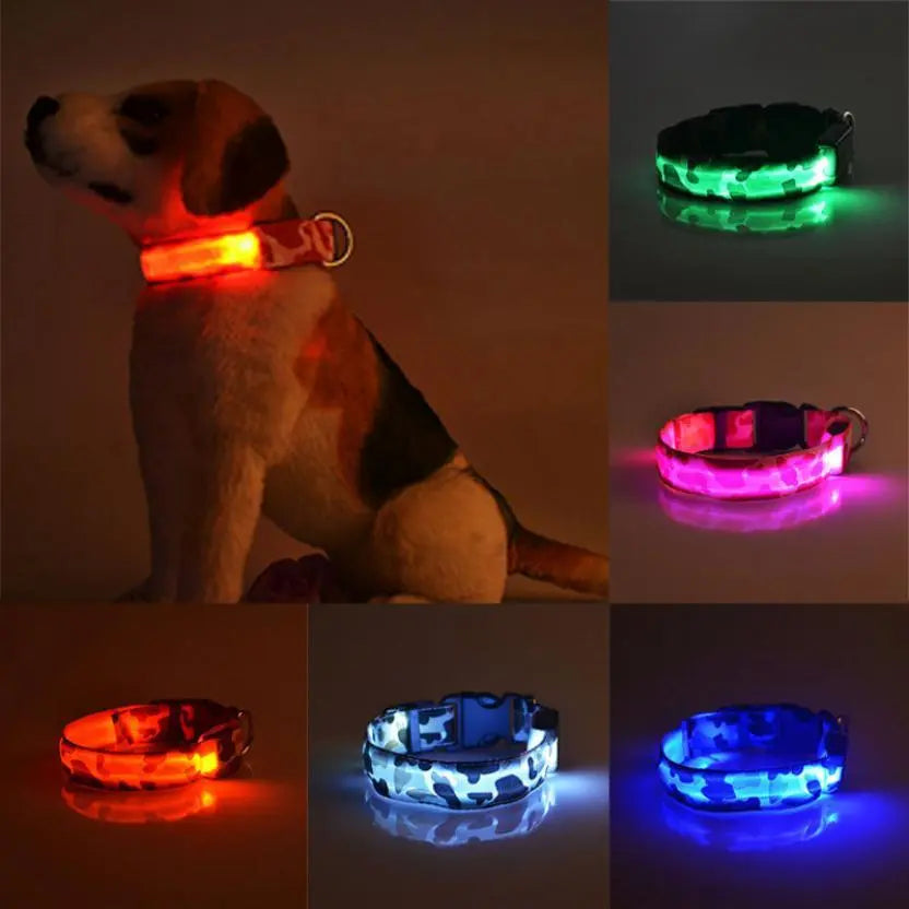 Collare Luminoso per Cani Camouflage – Regolabile con 3 Modalità LED, in Nylon Resistente, Sicuro per Passeggiate Notturne - N.1 Online