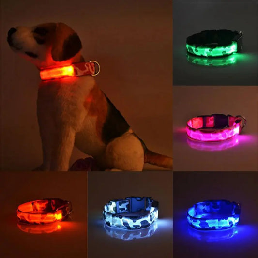 Collare Luminoso per Cani Camouflage – Regolabile con 3 Modalità LED, in Nylon Resistente, Sicuro per Passeggiate Notturne - N.1 Online