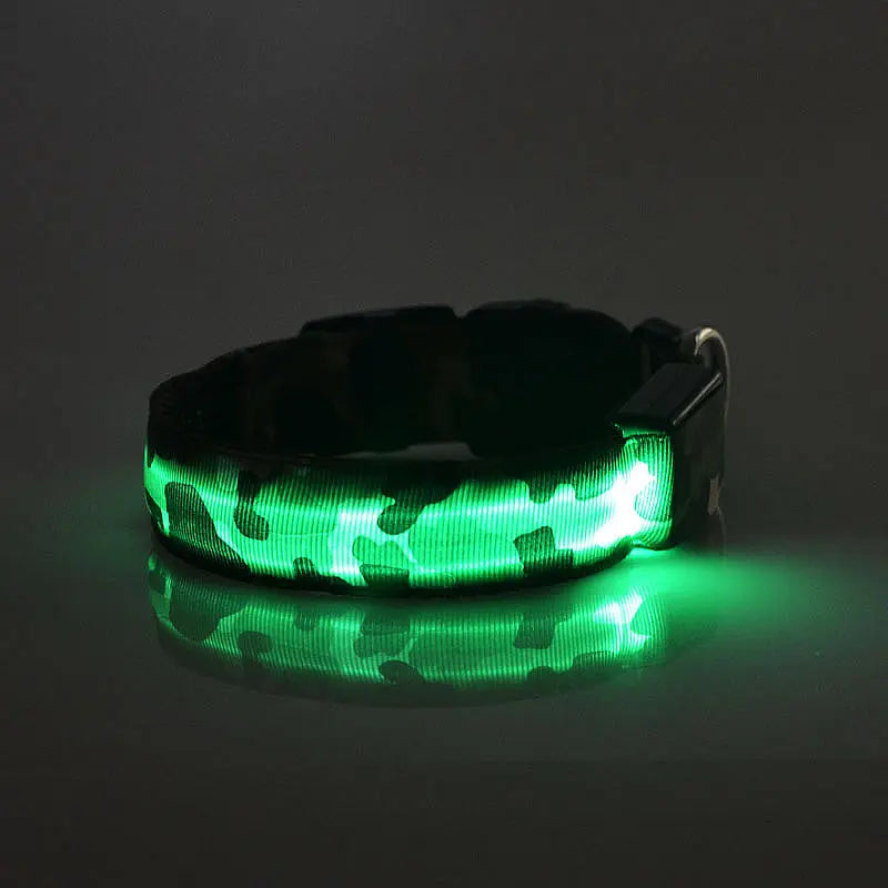 Collare Luminoso per Cani Camouflage – Regolabile con 3 Modalità LED, in Nylon Resistente, Sicuro per Passeggiate Notturne - N.1 Online