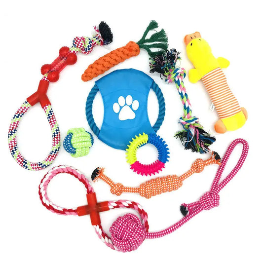 Set Giochi per Cani in Corda di Cotone – Resistenti al Morso, Sicuri e Naturali, Ideali per Masticazione e Addestramento - N.1 Online