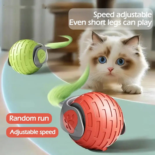 Palla Elettrica Interattiva per Gatti – Giocattolo Automatico con Movimento Intelligente, Ricaricabile USB - N.1 Online