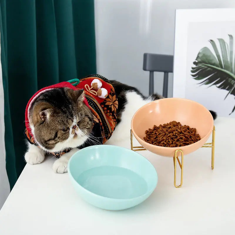 Ciotola in Ceramica per Cani e Gatti – Design Elegante, Antiscivolo, Disponibile in 2 Misure (300ml / 600ml) - N.1 Online