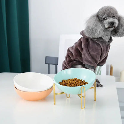Ciotola in Ceramica per Cani e Gatti – Design Elegante, Antiscivolo, Disponibile in 2 Misure (300ml / 600ml) - N.1 Online