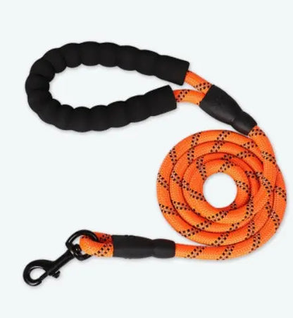 Guinzaglio Riflettente per Cani in Nylon – Vari Colori e Misure 150-300 cm, Sicurezza Notturna - N.1 Online