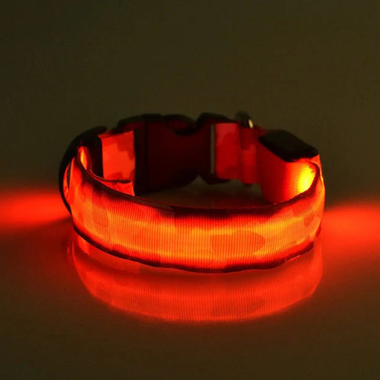 Collare Luminoso per Cani Camouflage – Regolabile con 3 Modalità LED, in Nylon Resistente, Sicuro per Passeggiate Notturne - N.1 Online