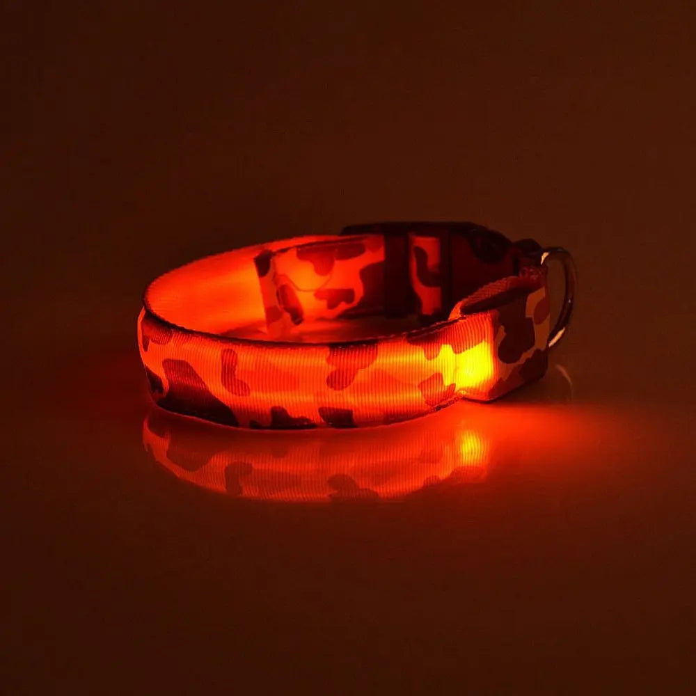 Collare Luminoso per Cani Camouflage – Regolabile con 3 Modalità LED, in Nylon Resistente, Sicuro per Passeggiate Notturne - N.1 Online