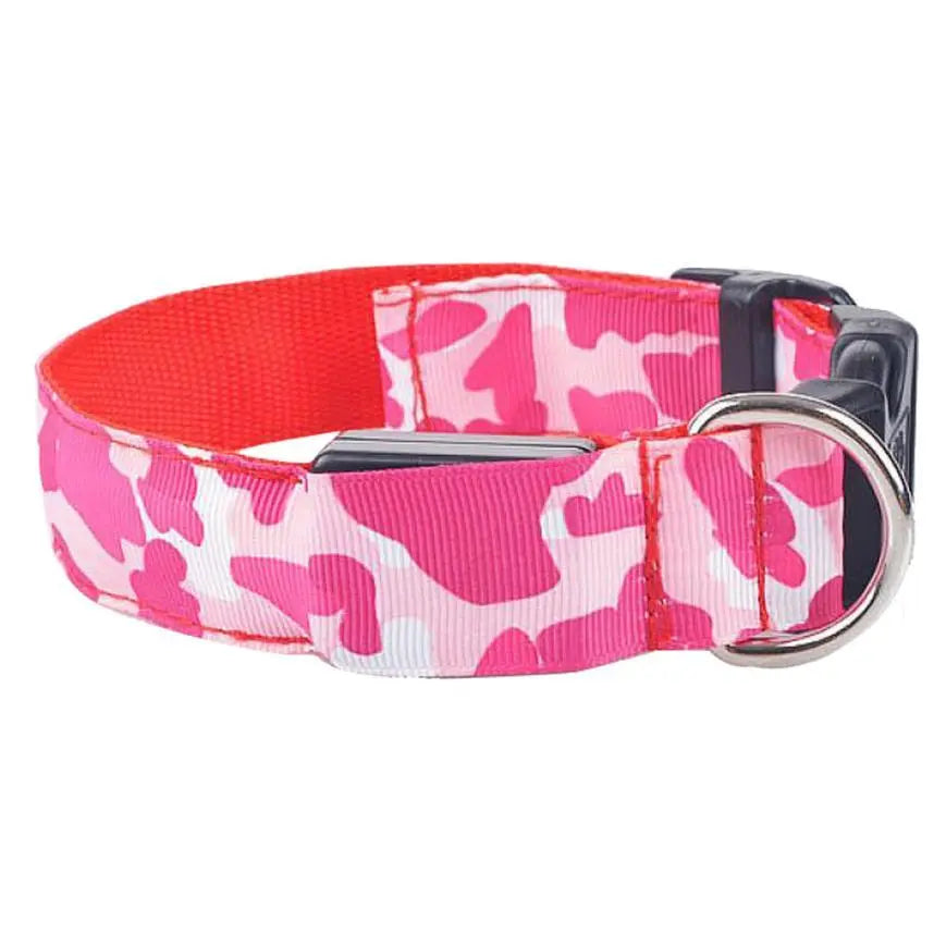 Collare Luminoso per Cani Camouflage – Regolabile con 3 Modalità LED, in Nylon Resistente, Sicuro per Passeggiate Notturne - N.1 Online