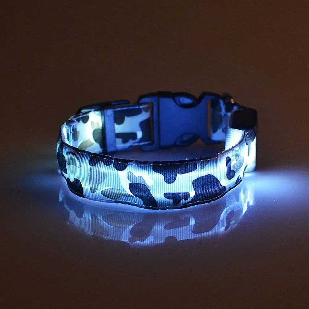 Collare Luminoso per Cani Camouflage – Regolabile con 3 Modalità LED, in Nylon Resistente, Sicuro per Passeggiate Notturne - N.1 Online