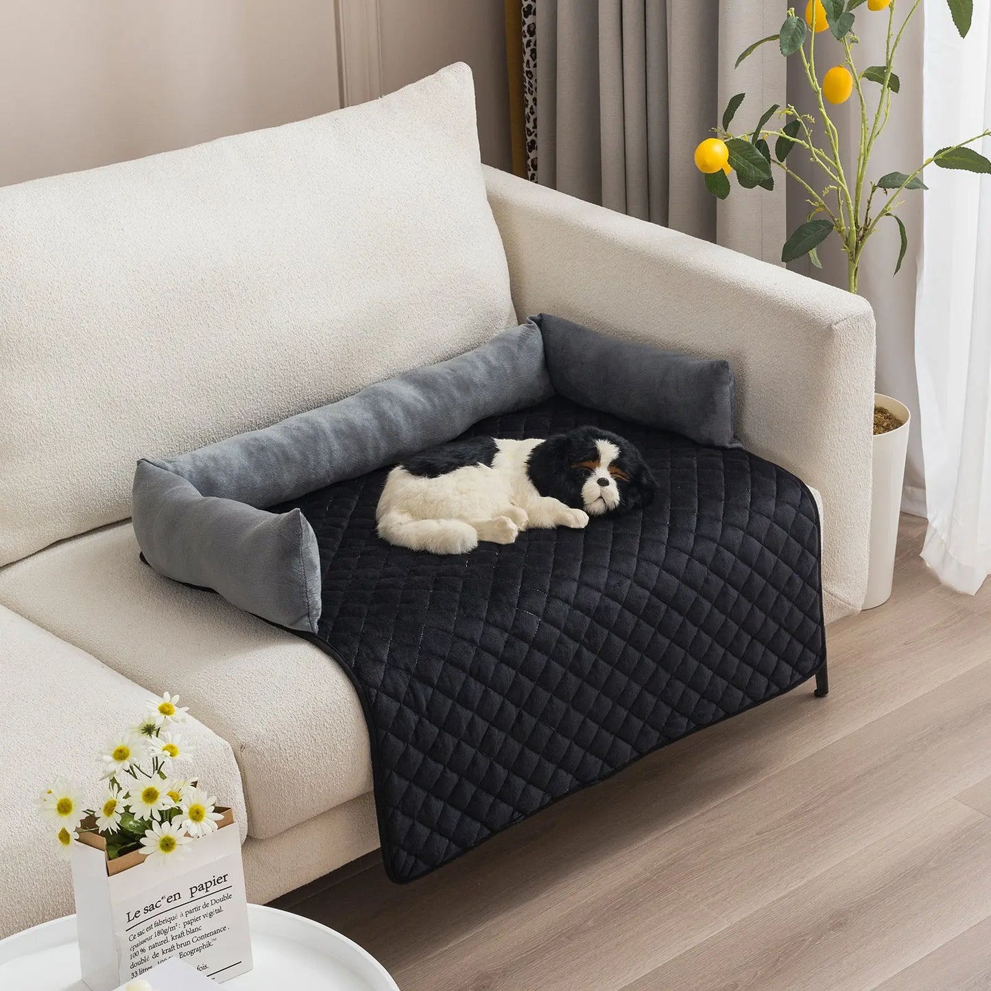Proteggi Divano per Cani con Materassino Morbido – Letto Imbottito in Peluche per Gatti e Cani, Lavabile, Antigraffio, Antimacchia - N.1 Online