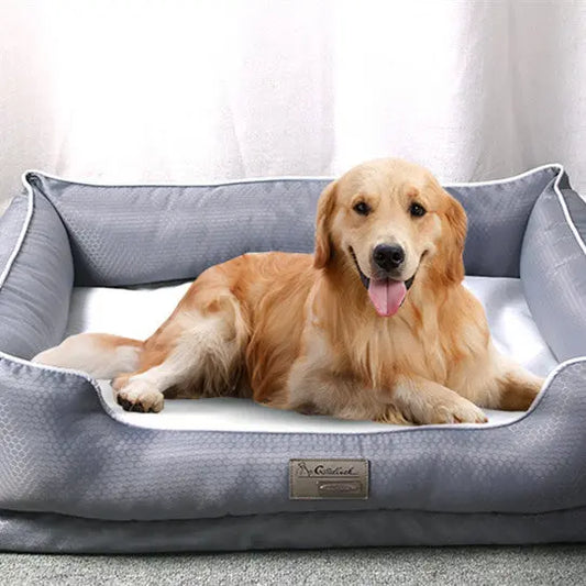 Cuscino per Cani Letto Rimovibile – Cuccia Morbida e Antiaderente, Vari Formati fino a 90 kg, Colore Grigio - N.1 Online
