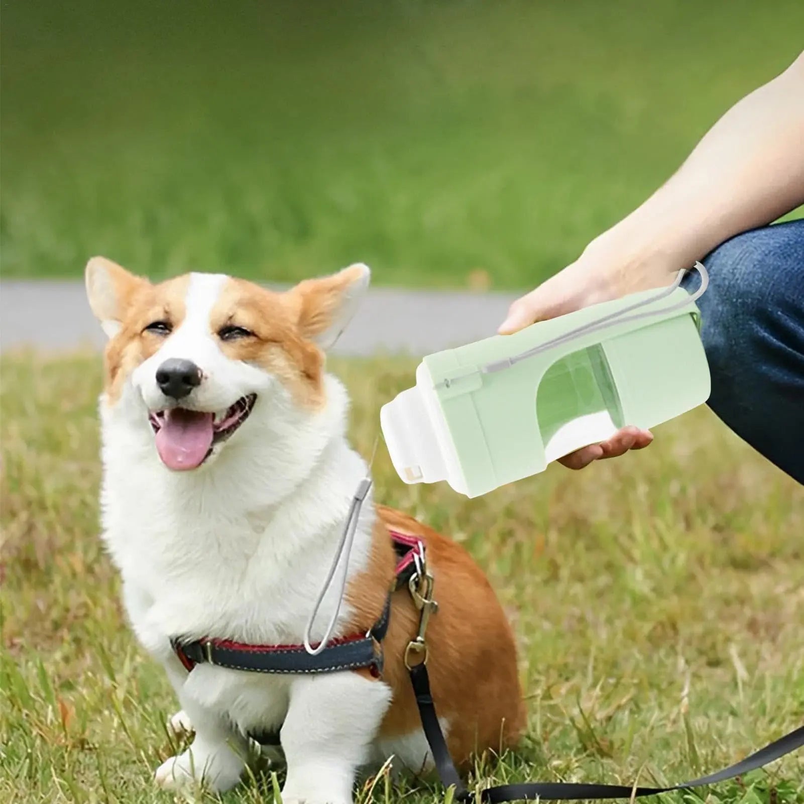 Borraccia da Viaggio 2 in 1 per Cani e Gatti – Dispenser Acqua e Cibo Portatile 690ml con Cordino - N.1 Online