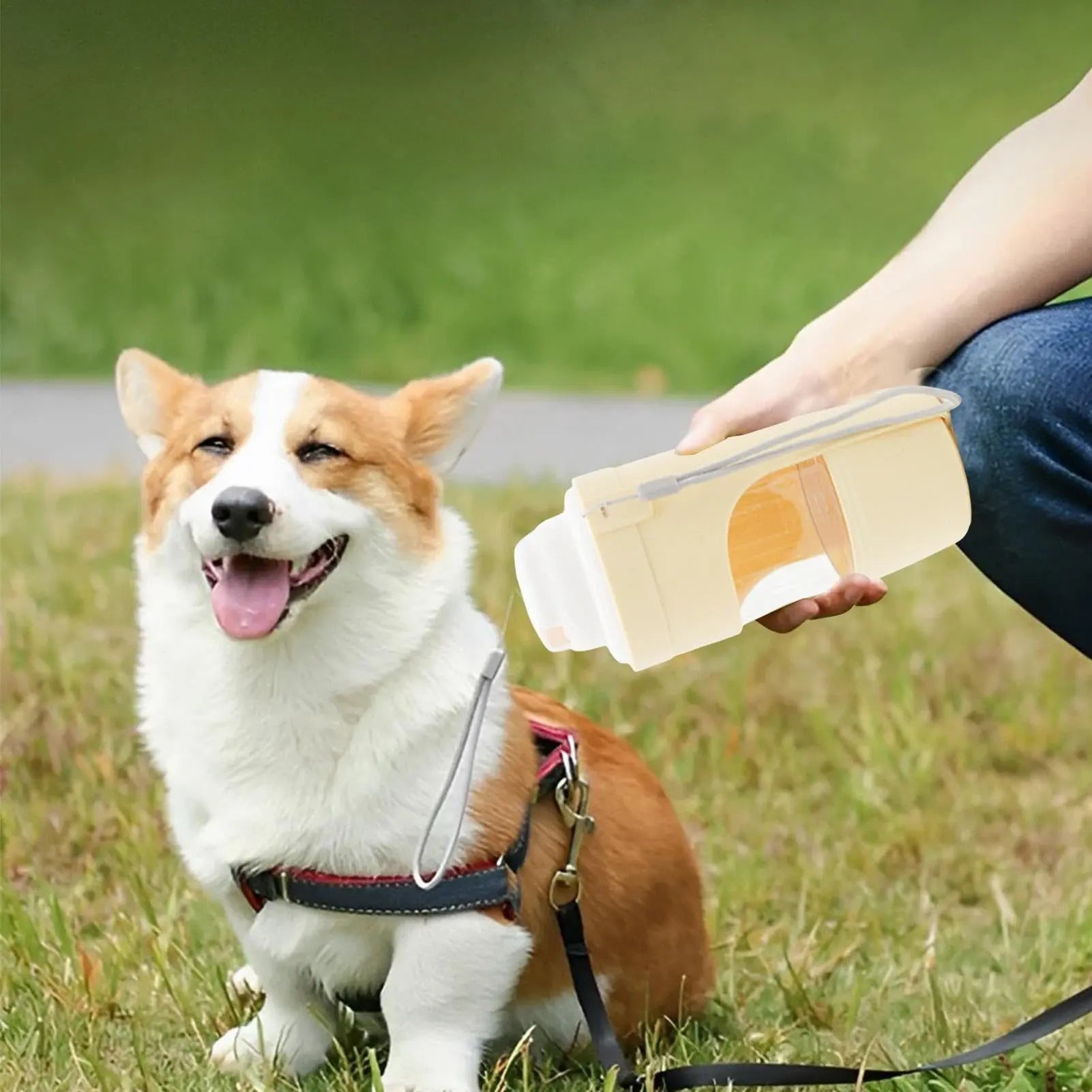 Borraccia da Viaggio 2 in 1 per Cani e Gatti – Dispenser Acqua e Cibo Portatile 690ml con Cordino - N.1 Online