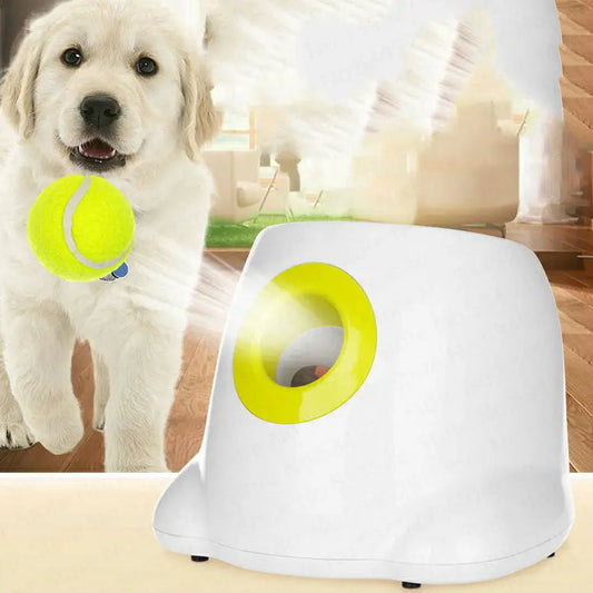 Lancia Palline Automatico per Cani – Giocattolo Interattivo con Distanze Regolabili 3/6/9m, Include 3 Palline e Adattatore - N.1 Online