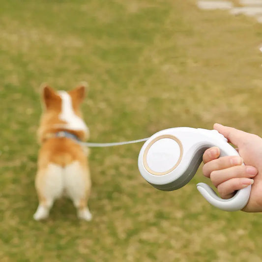 Guinzaglio Automatico Retrattile per Cani 3 Metri – Impugnatura Antiscivolo, Corda in Poliestere, Colori Morandi - N.1 Online